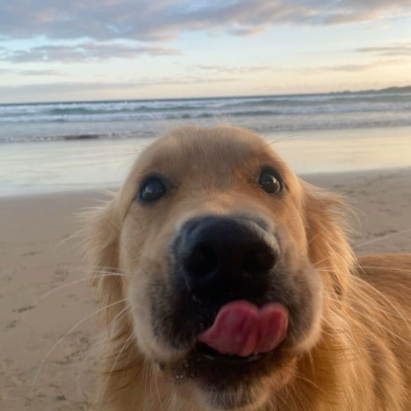 dakotahpoole780